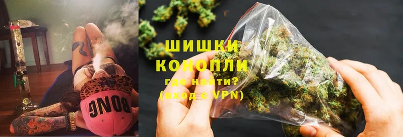 Шишки марихуана SATIVA & INDICA  hydra как войти  Туринск 